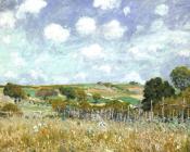 阿尔弗莱德 西斯莱 : Meadow